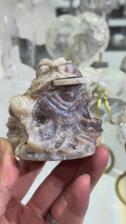 Moonstone Money frog with removeable coin