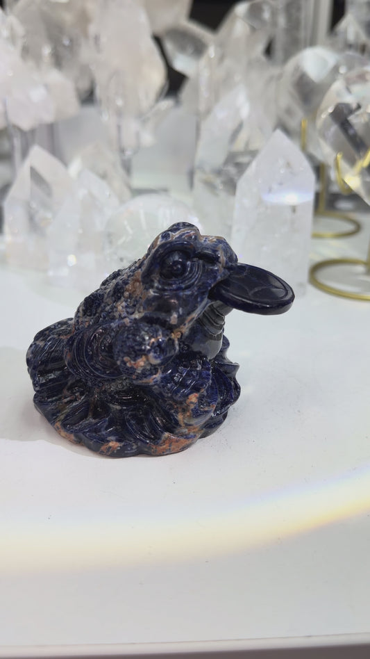 Sodalite Money frog with removeable coin